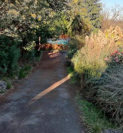 En Plein Coeur De La Foret