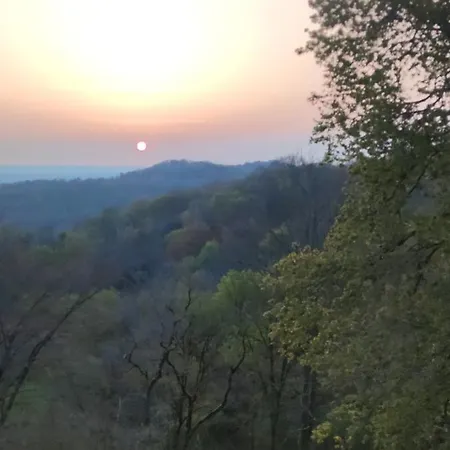 En Plein Coeur De La Foret Artiguelouve